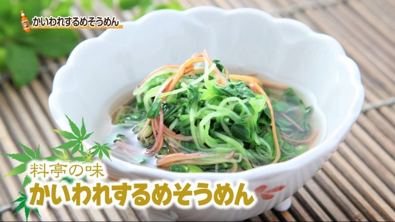 かいわれするめそうめん～料亭の味～