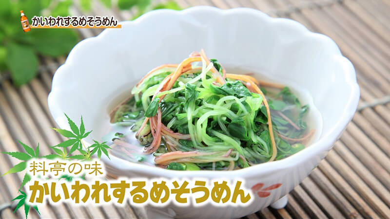 かいわれするめそうめん